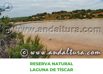 Espacios Naturales de Córdoba: Reserva Natural Laguna de Tíscar