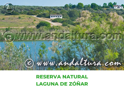 Espacios Naturales de Córdoba: Reserva Natural Laguna de Zóñar