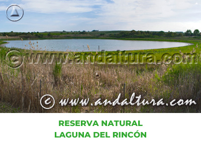 Espacios Naturales de Córdoba: Reserva Natural Laguna del Rincón