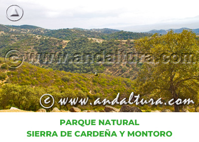 Espacios Naturales de Córdoba: Parque Natural Sierra de Cardeña y Montoro