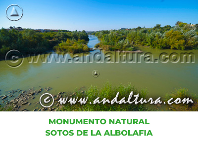 Espacios Naturales de Córdoba: Monumento Natural Sotos de la Albolafia