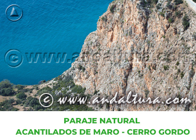Espacios Naturales de Granada: Paraje Natural Acantilados de Maro - Cerro Gordo