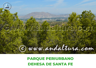 Espacios Naturales de Granada: Parque Periurbano Dehesa de Santa Fe