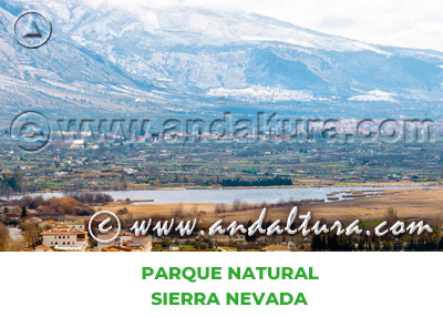 Espacios Naturales de Granada: Parque Natural Sierra Nevada