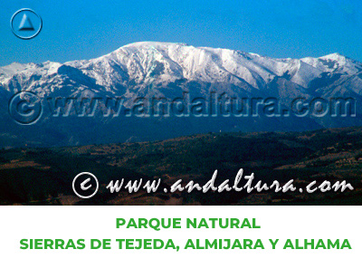 Espacios Naturales de Granada: Parque Natural Sierras de Tejeda, Almijara y Alhama