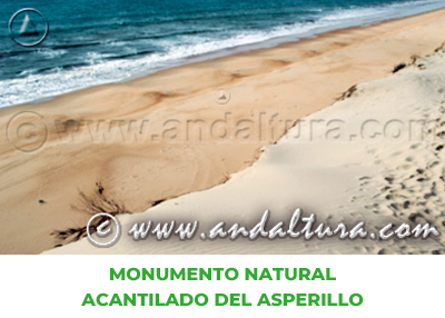 Espacios Naturales de Huelva: Monumento Natural Acantilado del Asperillo