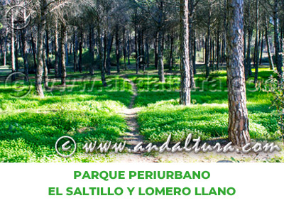 Espacios Naturales de Huelva: Parque Periurbano El Saltillo y Lomero Llano