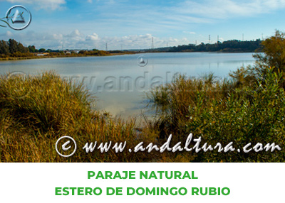 Espacios Naturales de Huelva: Paraje Natural Estero de Domingo Rubio