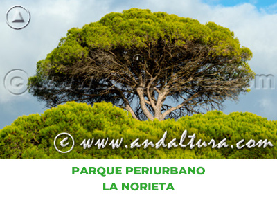 Espacios Naturales de Huelva: Parque Periurbano La Norieta