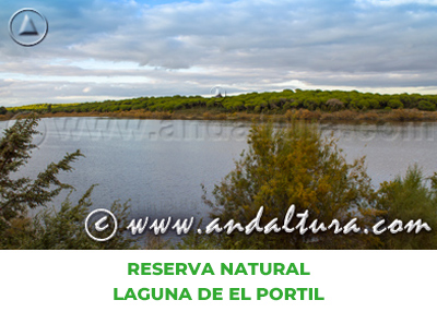 Espacios Naturales de Huelva: Reserva Natural Laguna de El Portil