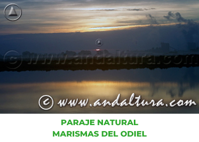 Espacios Naturales de Huelva: Paraje Natural Marismas del Odiel