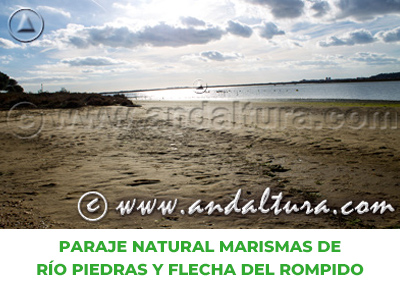 Espacios Naturales de Huelva: Paraje Natural Marismas de Río Piedras y Flecha del Rompido