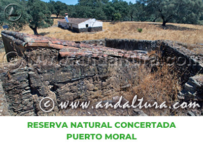 Espacios Naturales de Huelva: Reserva Natural Concertada Puerto Moral