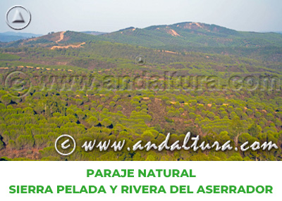 Espacios Naturales de Huelva: Paraje Natural Sierra Pelada y Rivera del Aserrador