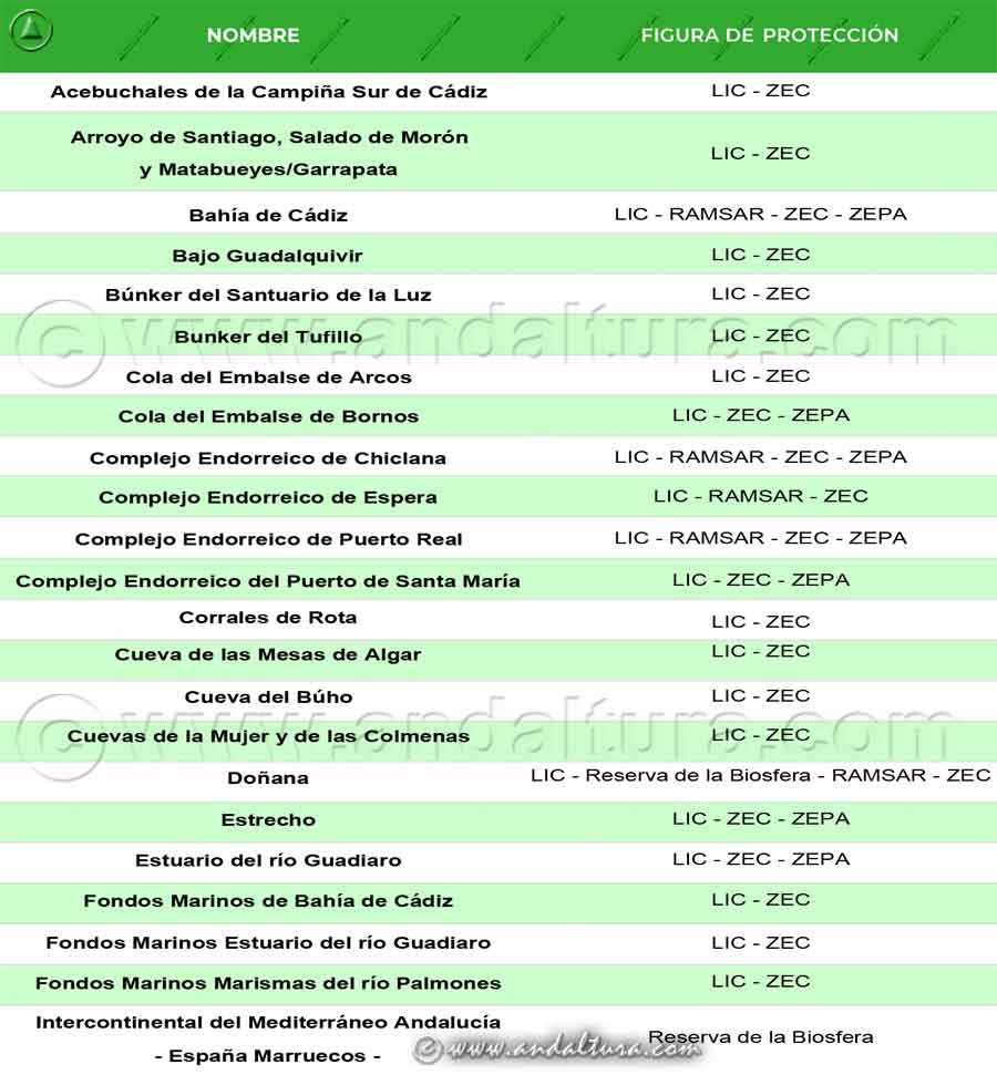 Espacios Naturales de Cádiz 1: LIC, ZEC, ZEPA, RAMSAR, Reserva de la Biosfera