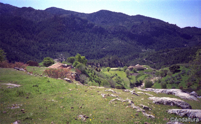 Majada de Lézar - Rutas por el Parque Natural Sierra de Castril