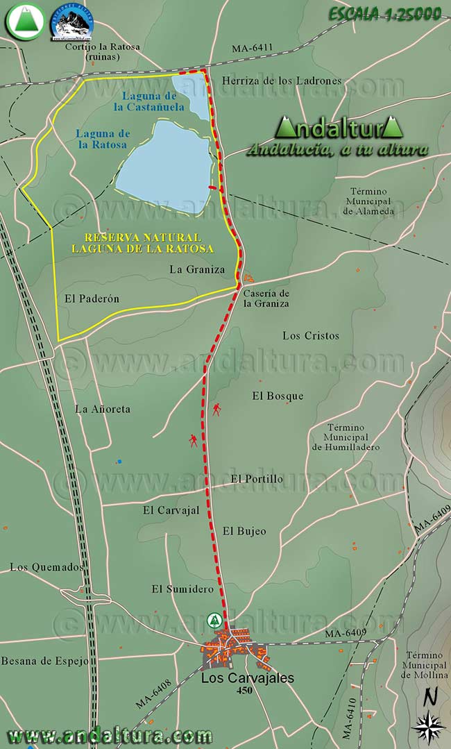 Mapa Topográfico y Georeferenciado de la Ruta de Senderismo y BTT desde Los Carvajales - Humilladero - a la Laguna de la Ratosa y a la Laguna de la Castañuela