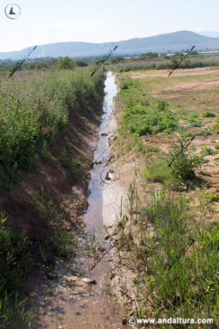 Arroyo Santillán - Ruta de Senderismo de Las Albinas en Fuente de Piedra