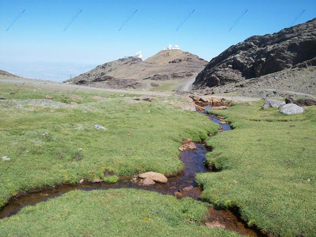 Borreguiles y aguas ferruginosas en el Valle de Dílar