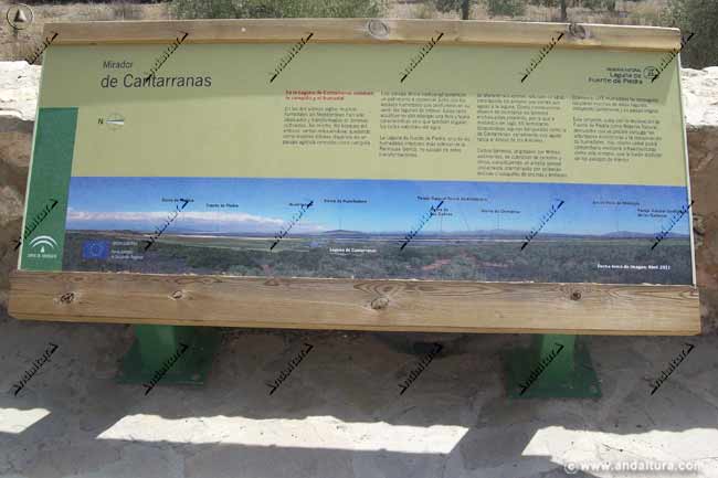 Cartel informativo de Cantarranas - Reserva Natural Laguna de Fuente de Piedra
