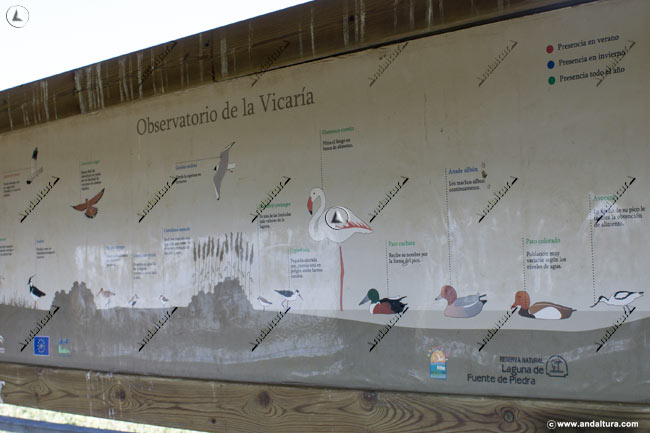 Cartel de las aves de la Laguna en el Observatorio La Vicaría - Reserva Natural Laguna de Fuente de Piedra