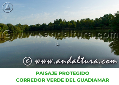 Espacios Naturales de Sevilla: Paisaje Protegido Corredor Verde del Guadiamar