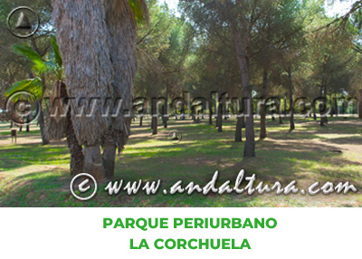Espacios Naturales de Sevilla: Parque Periurbano La Corchuela