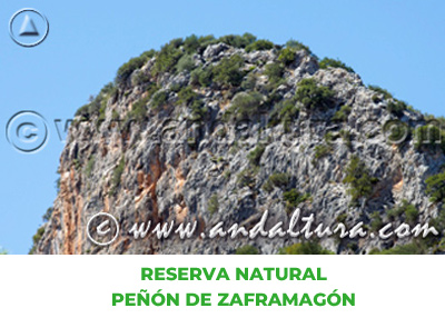 Espacios Naturales de Sevilla: Reserva Natural Peñón de Zaframagón