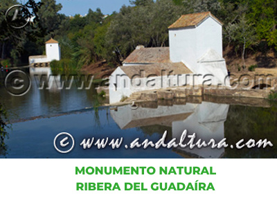Espacios Naturales de Sevilla: Monumento Natural Ribera del Guadaíra