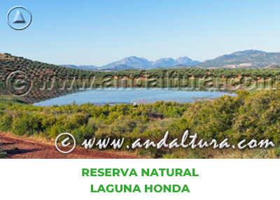Espacios Naturales de Jaén: Reserva Natural Laguna Honda