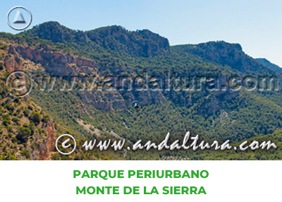 Espacios Naturales de Jaén: Parque Periurbano Monte de la Sierra