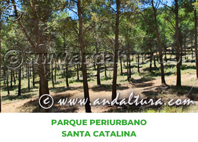 Espacios Naturales de Jaén: Parque Periurbano Santa Catalina