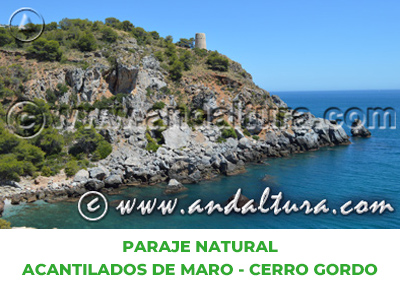 Espacios Naturales de Málaga: Paraje Natural Acantilados de Maro - Cerro Gordo