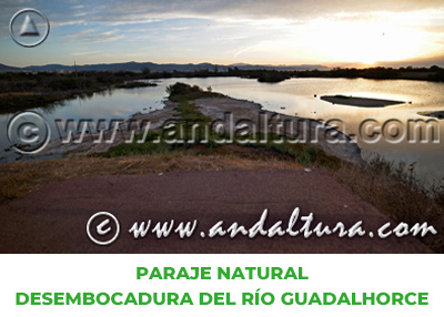 Espacios Naturales de Málaga: Paraje Natural Desembocadura del río Guadalhorce