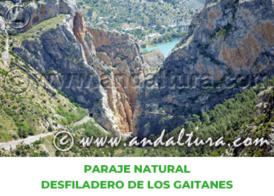 Espacios Naturales de Málaga: Paraje Natural Desfiladero de los Gaitanes
