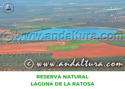 Espacios Naturales de Málaga: Reserva Natural Laguna de la Ratosa