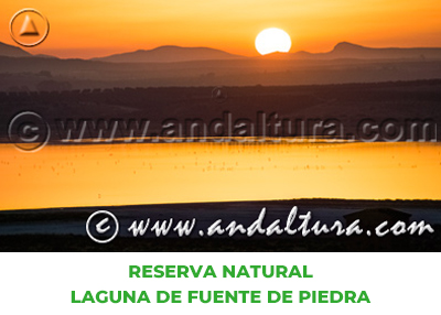 Espacios Naturales de Málaga: Reserva Natural Laguna de Fuente de Piedra
