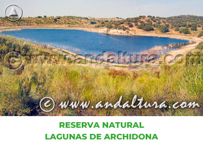 Espacios Naturales de Málaga: Reserva Natural Lagunas de Archidona