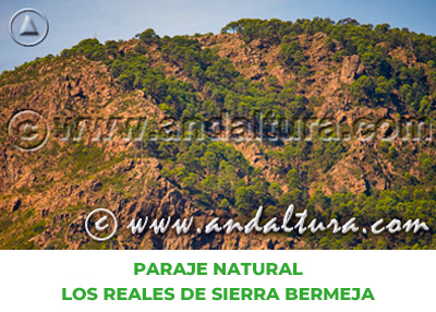 Espacios Naturales de Málaga: Paraje Natural Los Reales de Sierra Bermeja