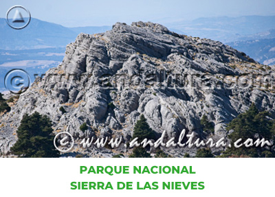 Espacios Naturales de Málaga: Parque Nacional Sierra de las Nieves