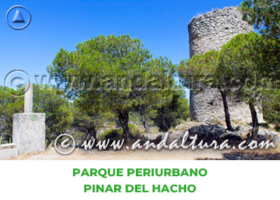 Espacios Naturales de Málaga: Parque Periurbano Pinar del Hacho