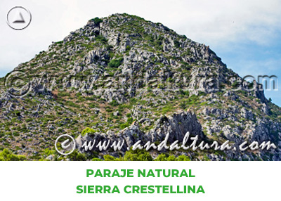 Espacios Naturales de Málaga: Paraje Natural Sierra Crestellina