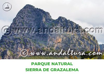 Espacios Naturales de Málaga: Parque Natural Sierra de Grazalema
