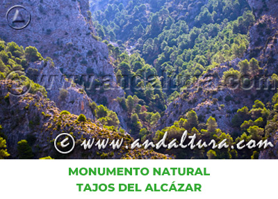 Espacios Naturales de Málaga: Monumento Natural Tajos del Alcázar