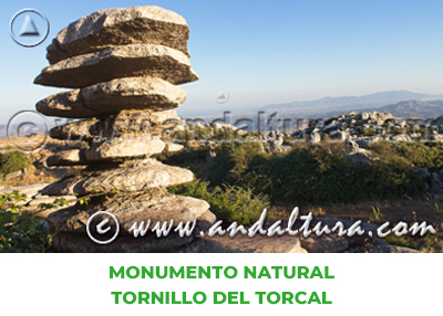 Espacios Naturales de Málaga: Monumento Natural Tornillo del Torcal