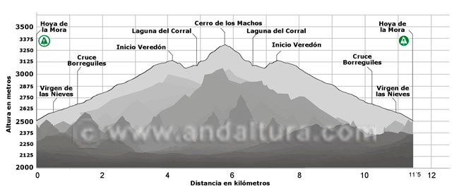 Perfil de la Ruta desde la Hoya de la Mora al Cerro de los Machos