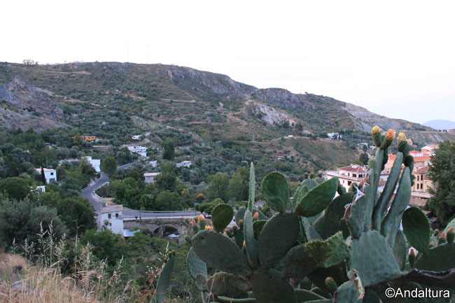 Chumberas y Puente sobre el río Lanjarón en las proximidades de la localidad