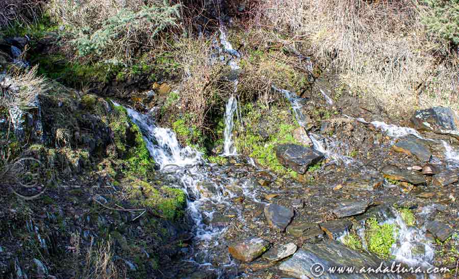Agua en uno de los barrancos de la Vereda a los Refugios de Cabañas Viejas y Cortijos del Hornillo