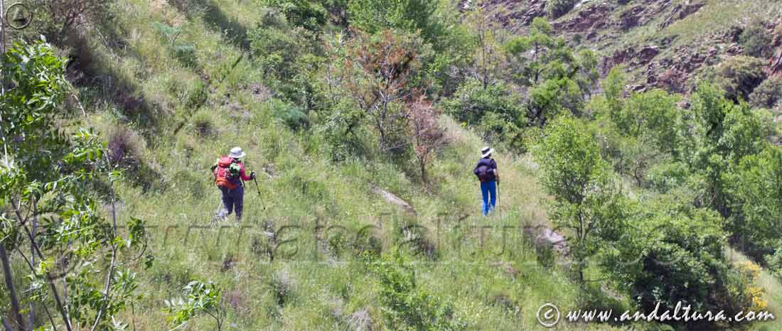 Montañeros descendiendo por la Vereda de la Estrella - Rutas de Senderismo por Sierra Nevada, el Valle del Genil y Güéjar-Sierra
