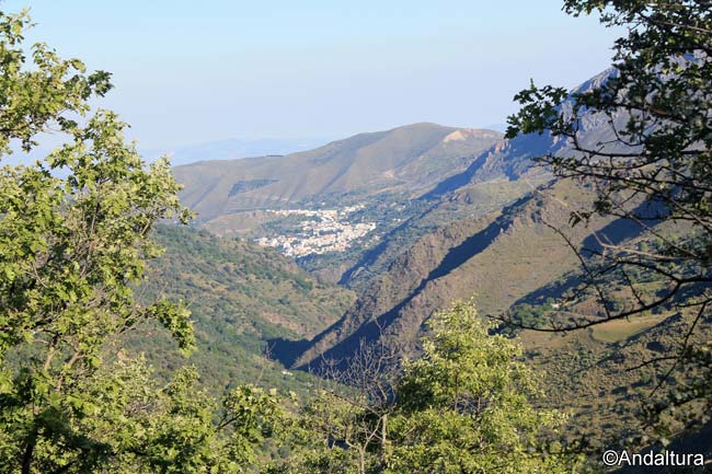 Localidad de Güéjar-Sierra desde la Dehesa de San Juan